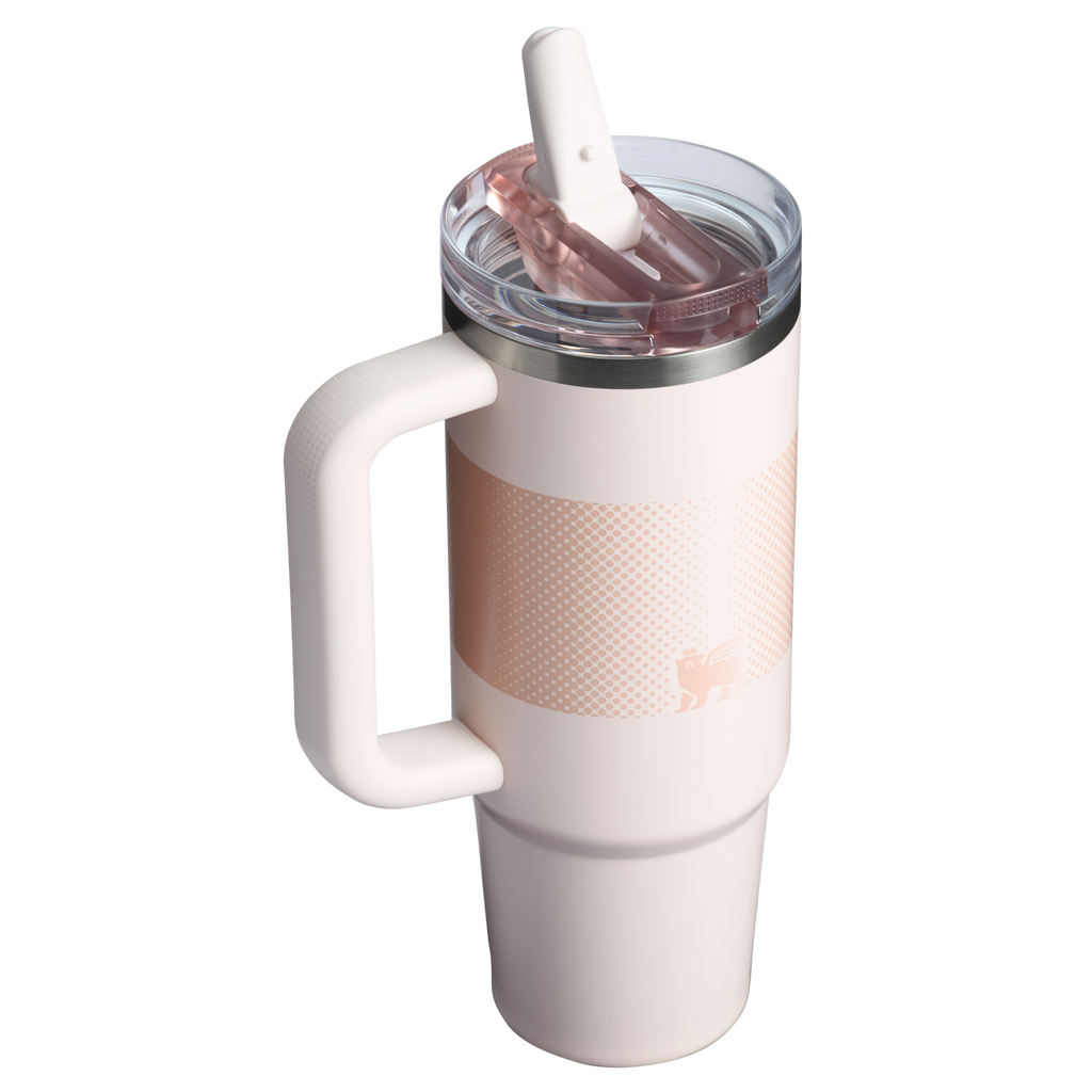 Stanley Quencher® ProTour Flip Straw Tumbler 30oz – Multiple Colors